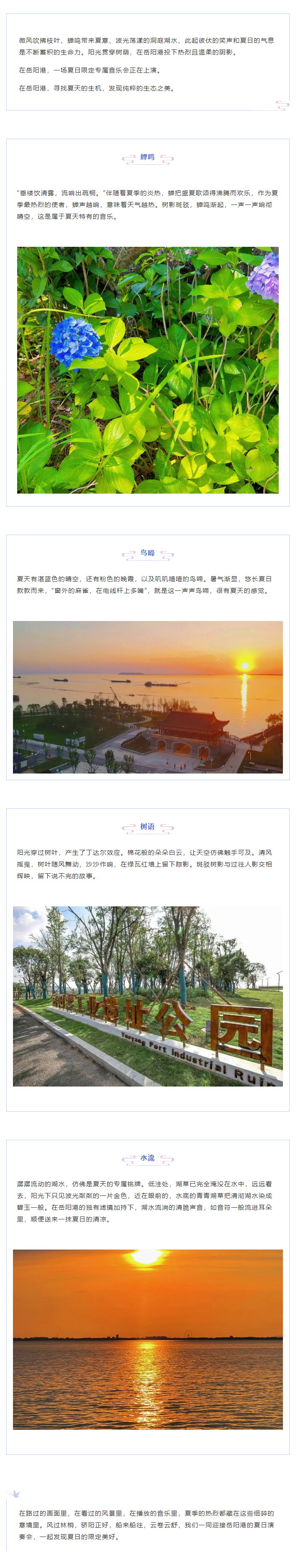 【夏日演奏會(huì)】在岳陽(yáng)港，聆聽(tīng)夏天的聲音.png